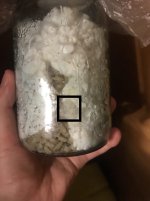 2018-03-18 22.14.56.jpg