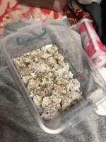 2018-03-19 23.03.58.jpg