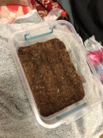 2018-03-19 23.04.02.jpg