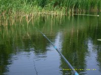 IMG_0261.JPG