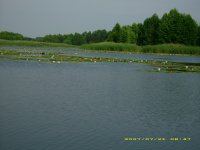 IMG_0262.JPG