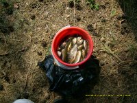 IMG_0264.JPG