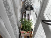 24.03.18 004.jpg 24.03.18 004.jpg