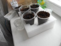 24.03.18.jpg 24.03.18.jpg