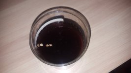 20180326_213014.jpg