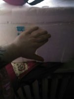 tmp-cam--1685854336.jpg