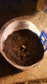 20180403_180554.jpg