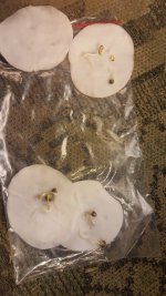 20180403_173112.jpg