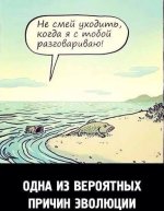 9481ec6c-8cba-4f8e-a7d5-59a9ed5d182e.jpeg