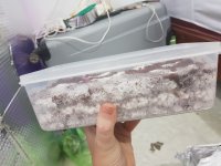 20180407_114749.jpg