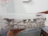 20180407_114830.jpg