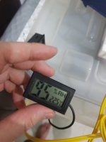 20180407_115155.jpg