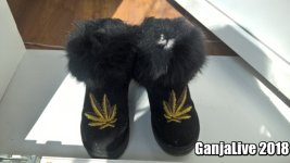 lol1523173214.jpg