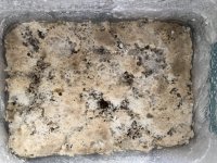 2018-04-08 11.19.27.jpg