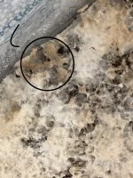 2018-04-08 11.21.17.jpg