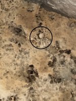 2018-04-08 11.21.23.jpg