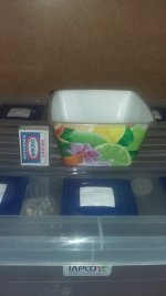 20180408_232048.jpg