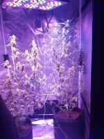 IMG_20180303_234825.jpg