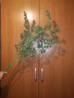 IMG_20180313_212649.jpg