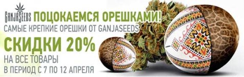 загружено.jpg