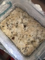 2018-04-10 12.30.44.jpg