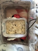 2018-04-10 12.31.55.jpg