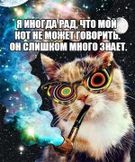XHeFNuEJ9wk.jpg