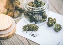 cannabis2.jpg