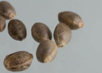 1-4.jpg