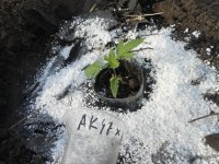 11.04.18 011.jpg