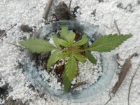 11.04.18 015.jpg