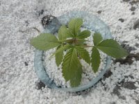 11.04.18 016.jpg