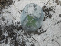 11.04.18 017.jpg