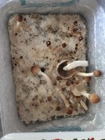 2018-04-12 12.03.48.jpg