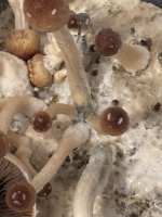 2018-04-12 16.26.03.jpg