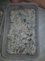 20180413_095728.jpg