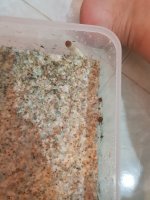20180413_095712.jpg