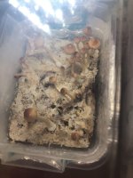 2018-04-13 11.16.31.jpg