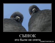 6F44398E-FA00-4E74-83A2-197BA1BA0476.jpeg