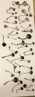 2018-04-15 00.40.49.jpg