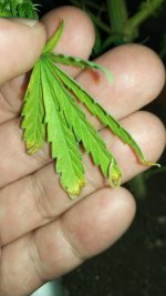 IMG_20180415_194029.jpg