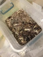 2018-04-17 18.57.29.jpg