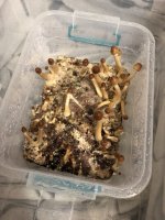 2018-04-19 18.37.06.jpg