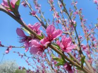21.04.18_test 034.jpg