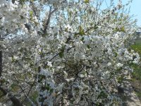 21.04.18_test 001.jpg