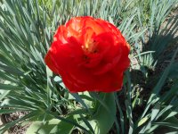 21.04.18_test 002.jpg