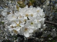 21.04.18_test 003.jpg