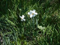 21.04.18_test 004.jpg