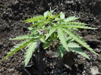 21.04.18_test 019.jpg