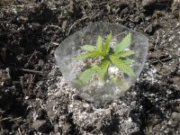 21.04.18_test 012.jpg
